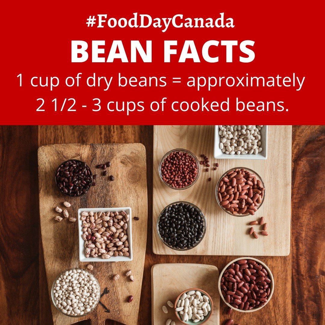 Don't be scared of using dry beans!  Check out this page for tips and tricks for working with dry beans, as well as a helpful "how to" video: https://ontariobeans.on.ca/dry-beans/

Are you celebrating #FoodDayCanada with beans? 

#FoodDayCanada #BeanFacts #LoveCDNBeans #betterwithbeans #ontariobeans

@fooddaycanada