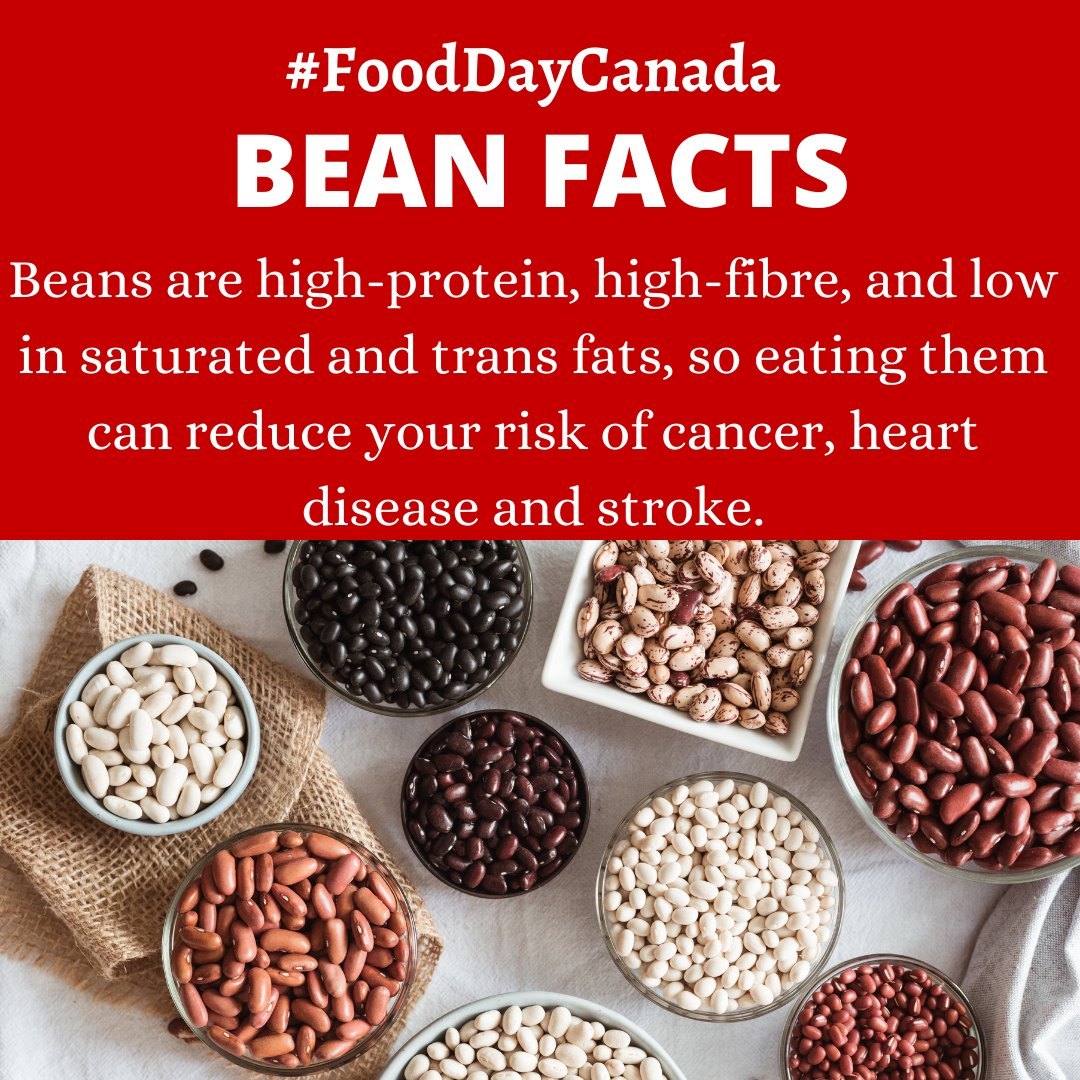 We're continuing to celebrate #FoodDayCanada by sharing some #BeanFacts!

Do you want to add more beans to your diet?  Let our recipe library inspire you: https://bit.ly/ontariobeanrecipes

@fooddaycanada

#LoveCDNBeans #betterwithbeans #ontariobeans