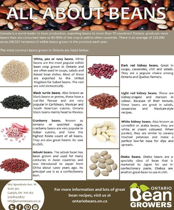 All About Beans Factsheet
