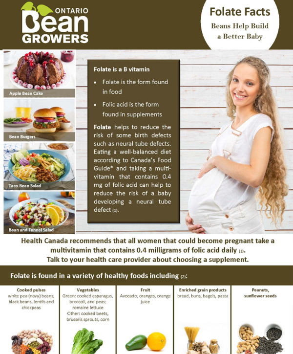 Beans and Folate Factsheet